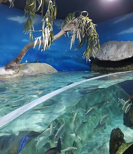 招待所 Boutique Weber's 3*