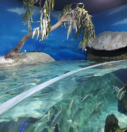 بيت ضيافة Costa 3*